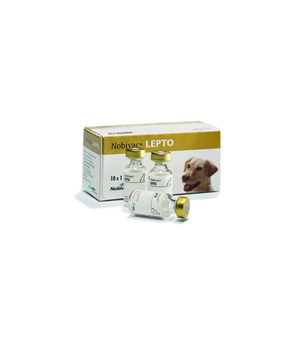 Nobivac-Lepto_tcm91-133702