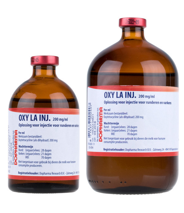 OXY