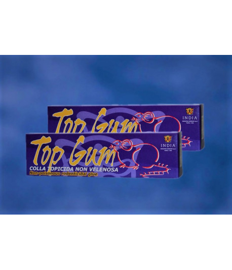 p-top-gum-1258481826