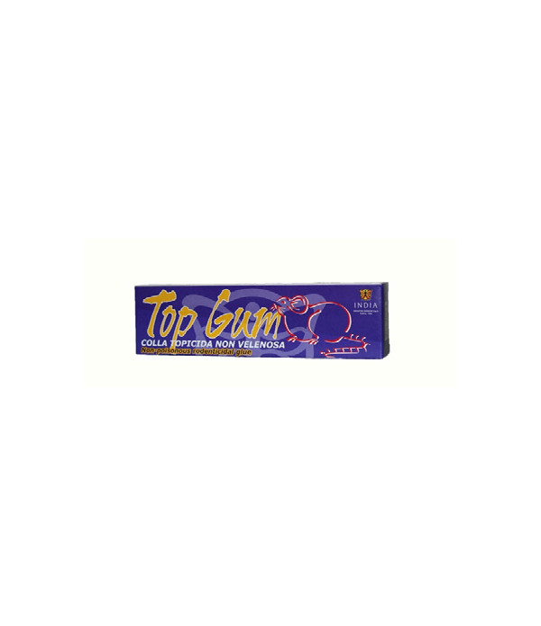 Toni Top Bubble Gum
