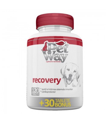 PETWAY RECOVERY X 120 TAB