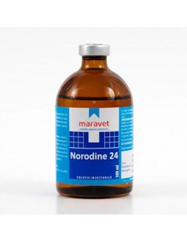 NORODINE X 100ML