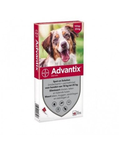 ADVANTIX 10 - 25 KG X 1 PIP