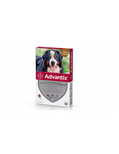 ADVANTIX 40-60KG