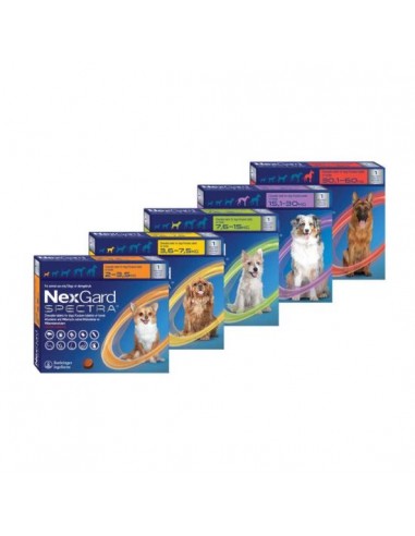 Nexgard Spectra Dog XL(30-60kg) x 3 tb