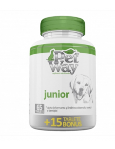 PETWAY JUNIOR X 100TAB