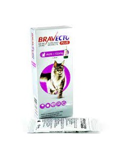 Bravecto plus Cat 500mg...