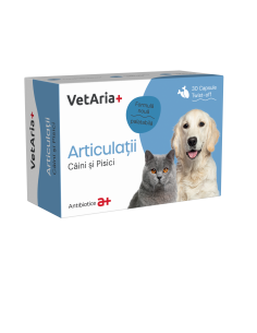 VetAria + Articulatii...