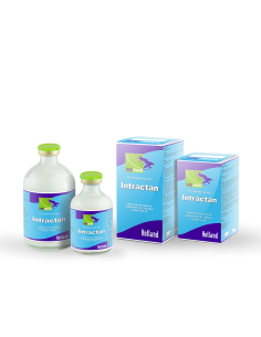 Intractan 100 ml