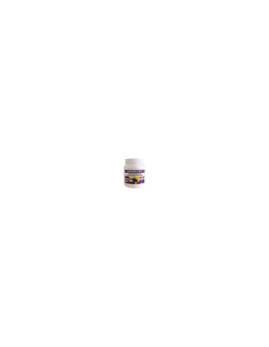 Masterfly Bait 500g